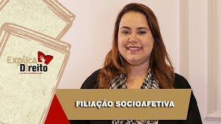 Explica Direito Filiação Socioafetiva  2019 [upl. by Gargan826]