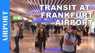 TRANSIT WALK AT FRANKFURT Airport FRA Terminal 1  Connection Flight Transfer Arriving amp Departing [upl. by Kaiser]